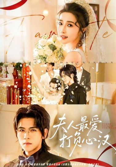 夫人最爱打负心汉